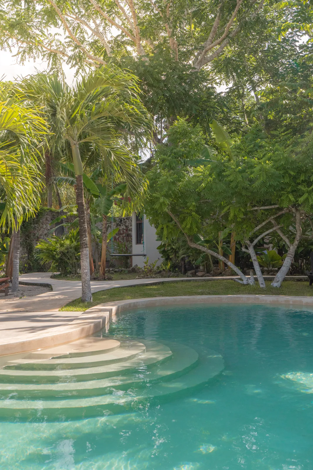 Pool curved steps and garden