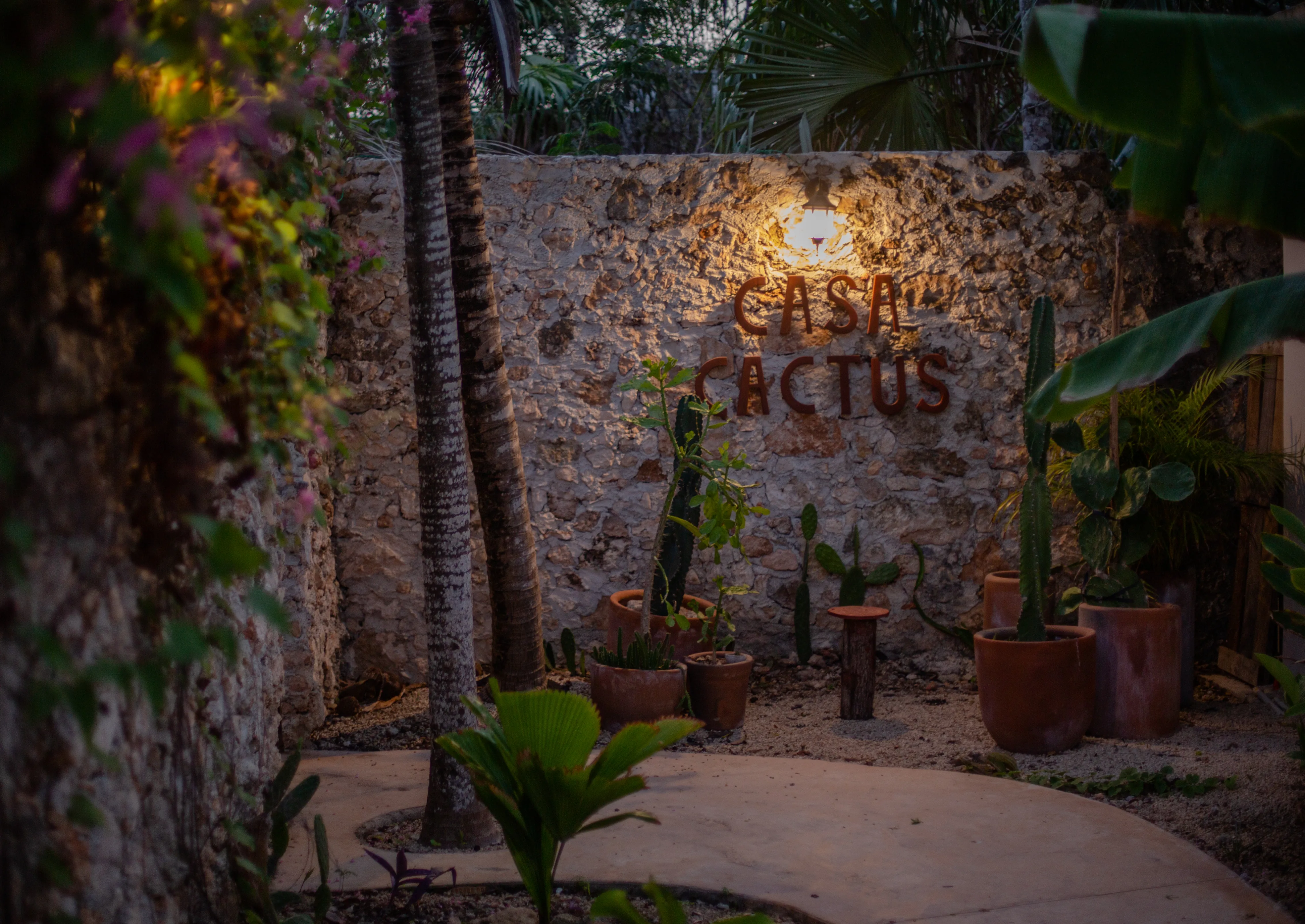 Casa Cactus sign at dusk